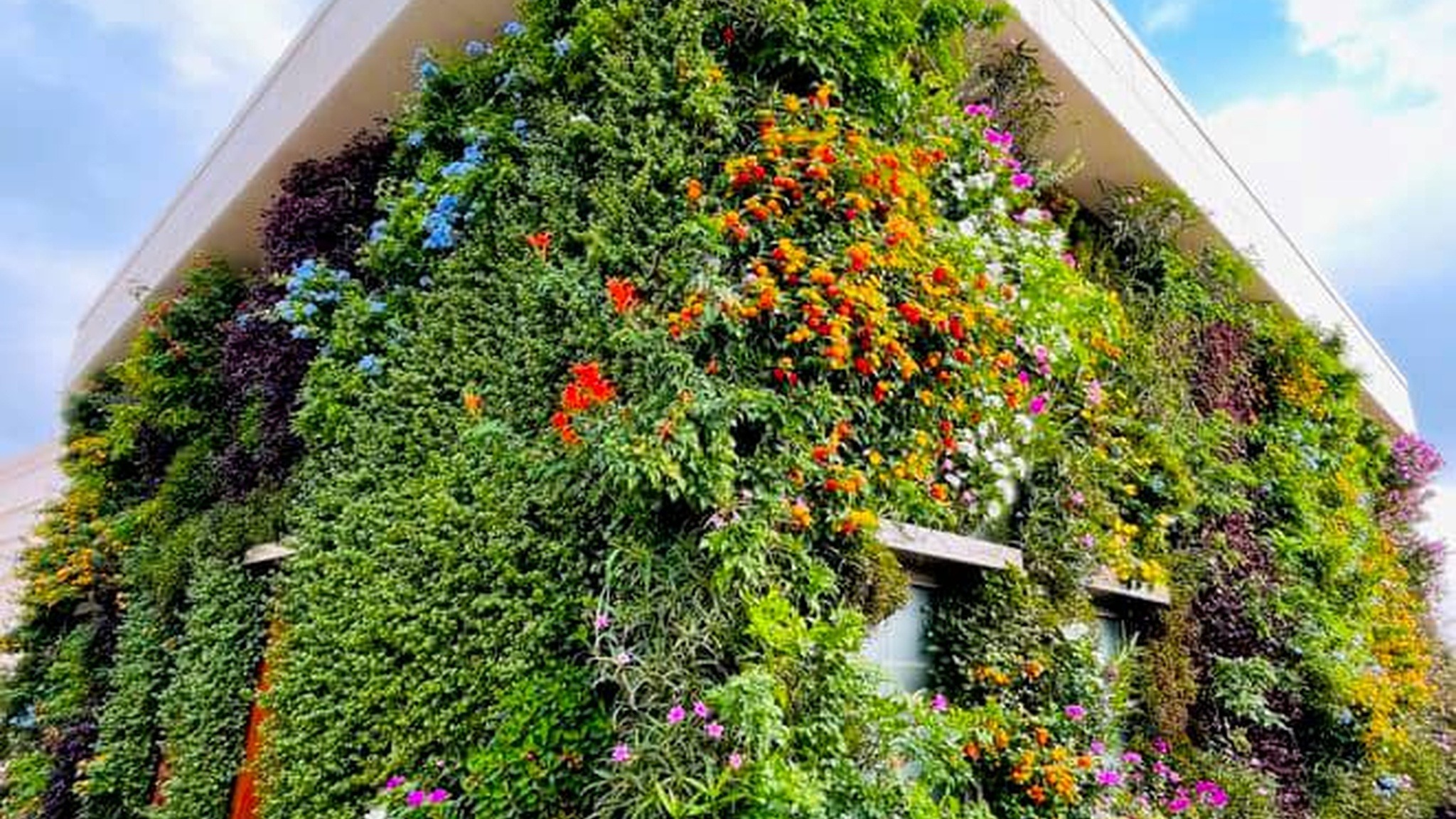 Commercial Landscaping Solutions